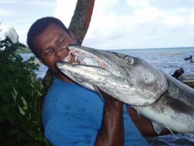 Matava Fiji, Great Barracuda